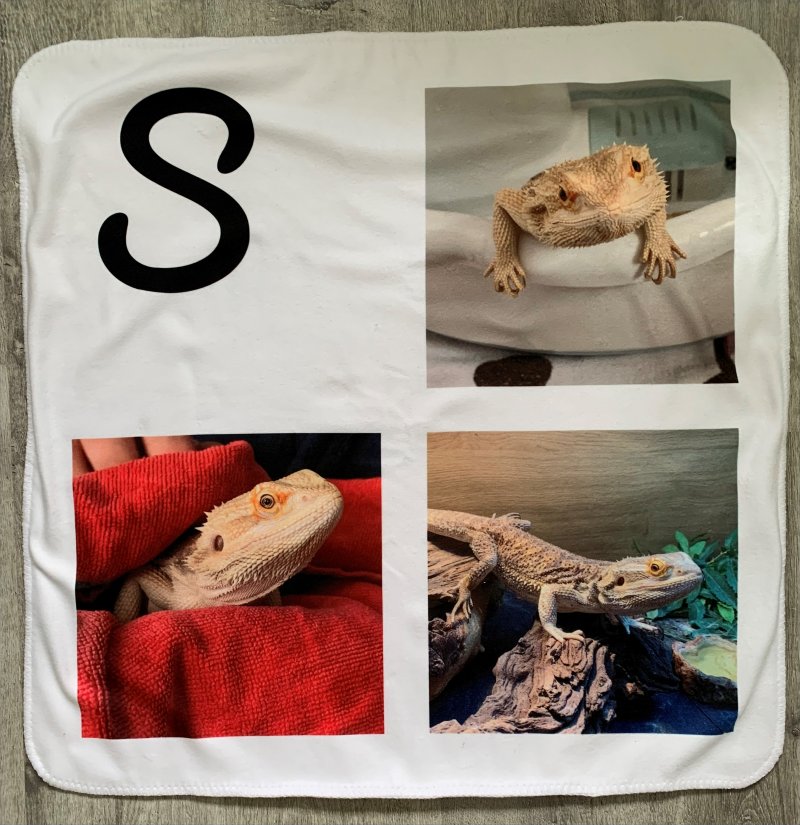 Christmas Gift Ideas for the Whole Family Pinkoddy's Blog