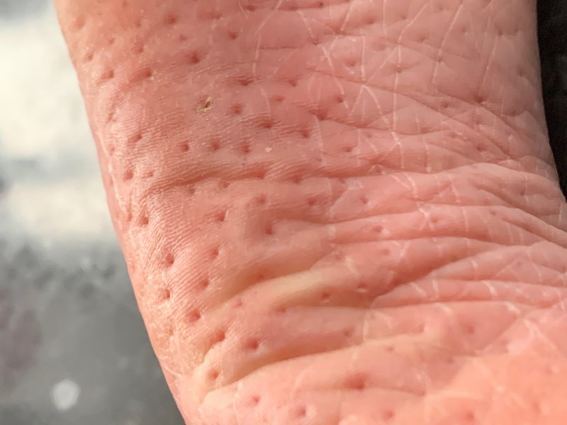 Why Shakti Mat is A Great Gift for The Whole Family!