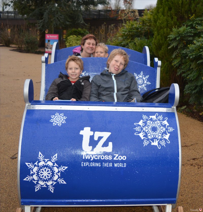 Twycross Zoo for Christmas Pinkoddy's Blog